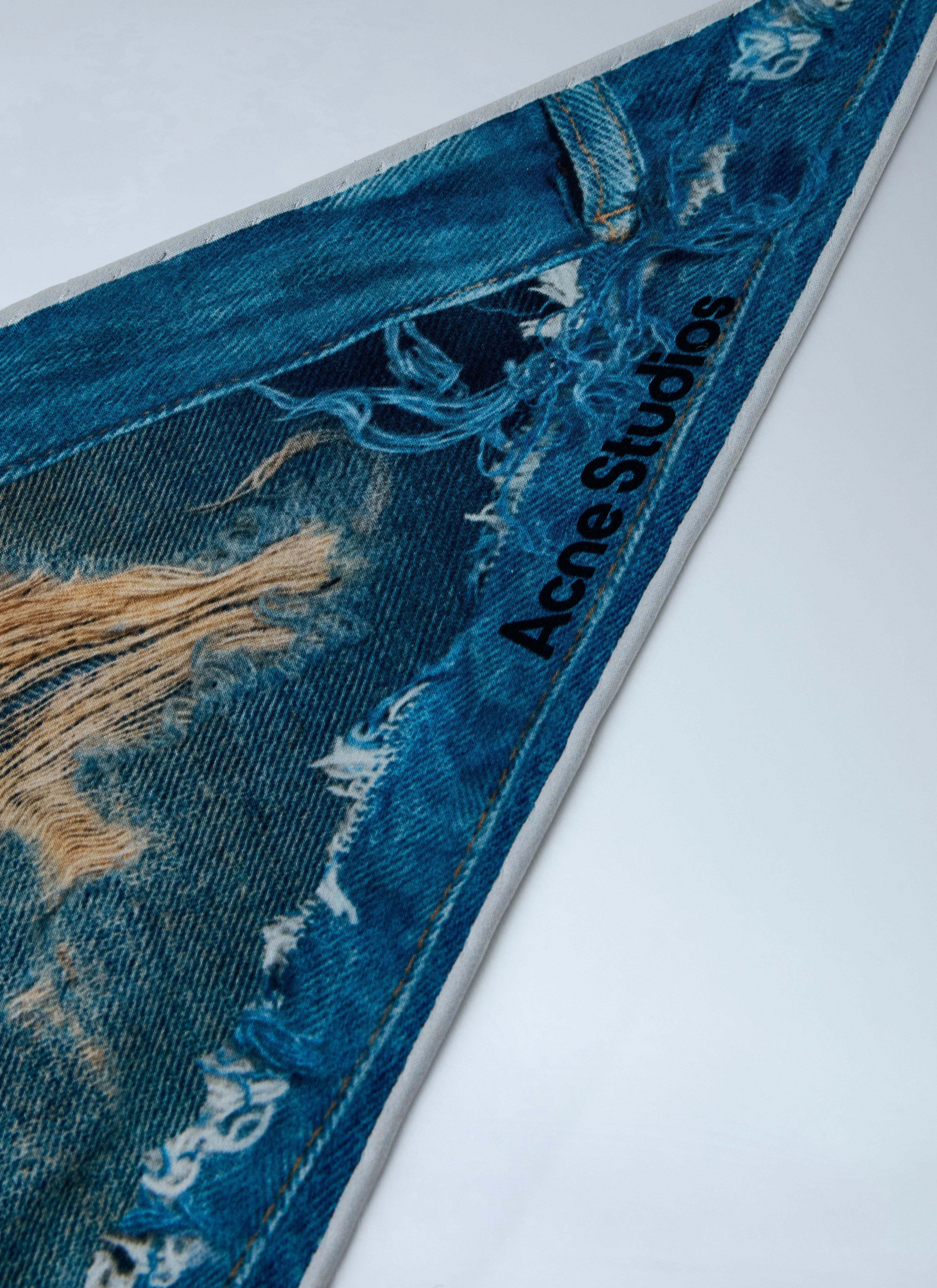 Acne Studios Women Printed Silk Scarf - Image 3