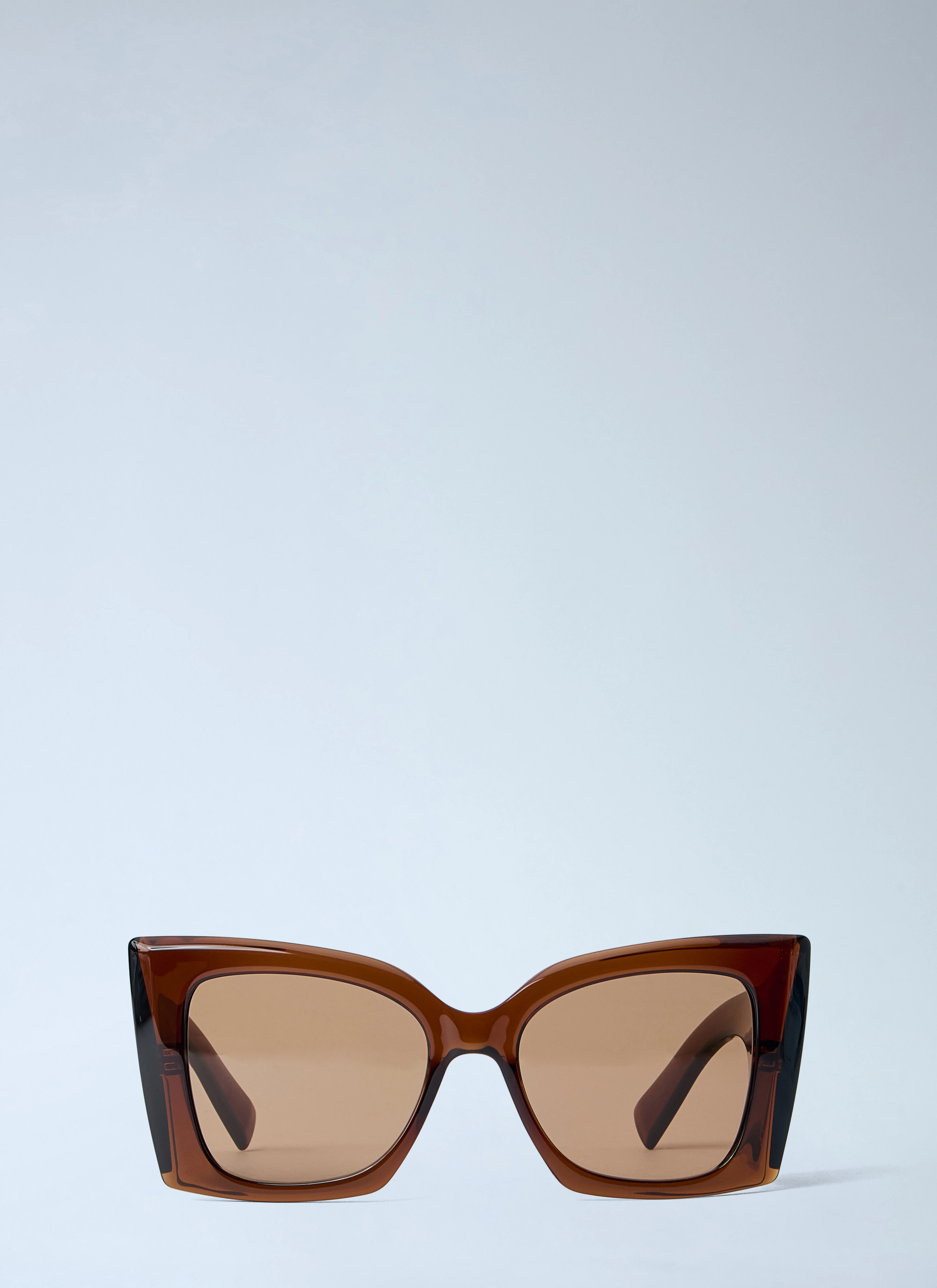 Saint Laurent Women Sl M119 Cat-Eye Sunglasses
